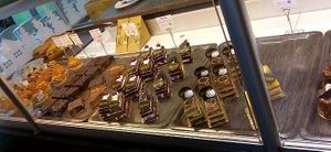  at Velicious in Strasbourg