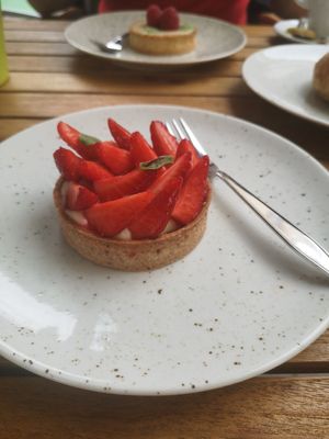  at Velicious in Strasbourg