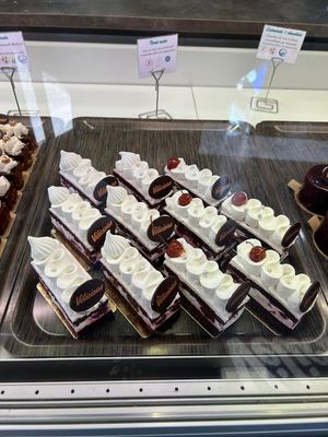   at Velicious in Strasbourg