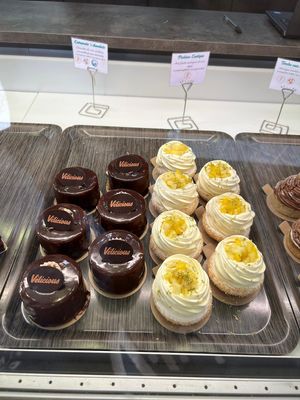   at Velicious in Strasbourg