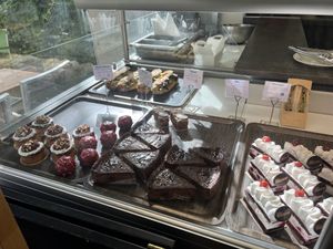   at Velicious in Strasbourg