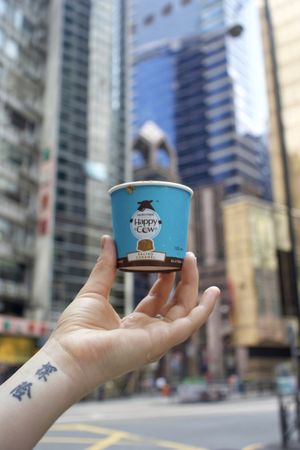 The best vegan ice cream in Hong Kong! Bought at Green Common. at Green Common Kind Kitchen - Nan Fung Place in Hong Kong Island