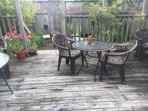 backyard patio super nice at The Tin Thistle Garden Cafe in North Bend