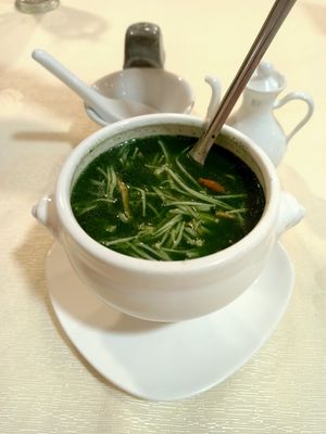 Braised Spinach Soup at Supreme Vege 善心缘 - Bras Basah in Central Singapore