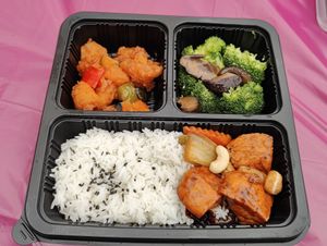 Bento set for lunch on Day 1 of retreat at Supreme Vege 善心缘 - Bras Basah in Central Singapore