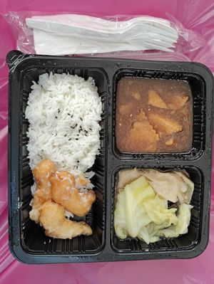 Bento set for dinner on Day 1 of retreat at Supreme Vege 善心缘 - Bras Basah in Central Singapore