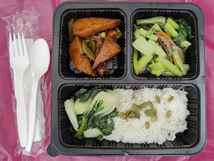 Bento set for lunch on Day 2 of retreat at Supreme Vege 善心缘 - Bras Basah in Central Singapore