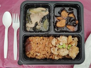 Bento set for lunch on Day 3 of retreat at Supreme Vege 善心缘 - Bras Basah in Central Singapore