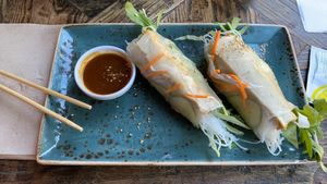 Vegan summer rolls at Royals & Rice in Muenster
