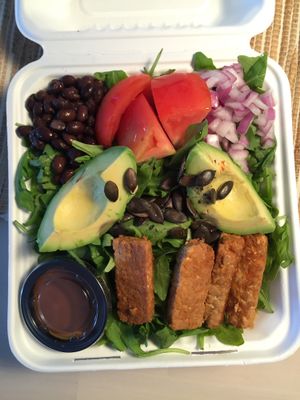 arugula tempeh salad with gypsy sauce  at Real Raw Organics in Ocean City