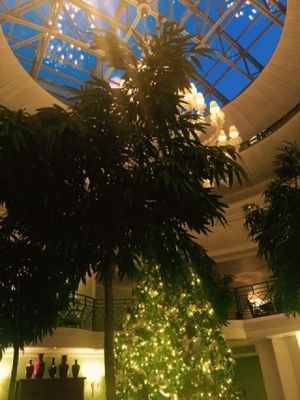 Restaurant La Bauhinia in Paris at Shangri-La Hotel - La Bauhinia in Paris