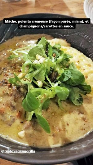 Plat de la semaine at Vegan Gorilla in Nice