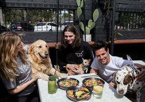 Happy puppies and owners in the dog-friendly courtyard!!  at Serotonin Eatery in Burnley