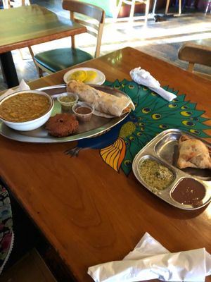 South Indian Sampler & Samosa yum at Annapurna's World Vegetarian Cafe - UNM in Albuquerque