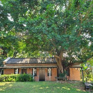 outside at Eat Well Canteen 慧食堂 in New Territories
