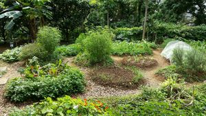 Potager at Eat Well Canteen 慧食堂 in New Territories