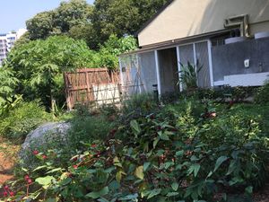 Garden photo 1 at Eat Well Canteen 慧食堂 in New Territories