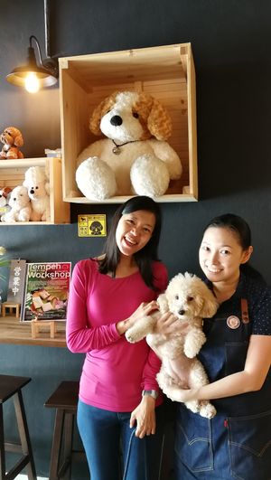 a real poodle at Brown Poodle in Penang