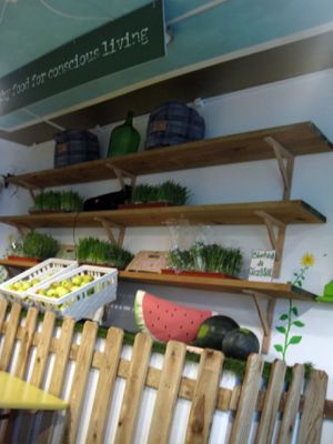 Inside at Ink FarmFood Cafe in Lisbon