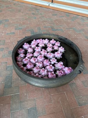   at Isha Institute of Inner-Sciences in Mcminnville