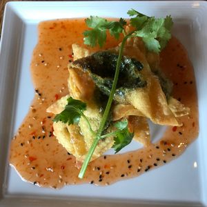 wontons at Green Elephant Vegetarian Bistro & Bar in Portsmouth