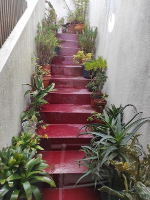 Cute at Terra Viva in Espinho