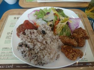 Sekai Cafe at Sekai Cafe  in Tokyo