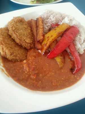 Vegan Soy Cutlet Curry at Sekai Cafe  in Tokyo