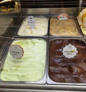 The current vegan gelato options  at Mirkoz Ice Cream in Sirmione