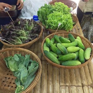 affordable, local, organic  at Organic Farmers' Market Chiang Mai in Chiang Mai