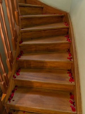 To the 2nd floor / A escada ao 2º andar. at Gopala - Melo Alves in Sao Paulo