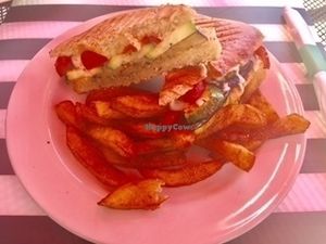 Vegetable panini (NOT VEGAN!!) is eggplant, zucchini, red peppers, mozzarella with basil pesto and served with fries. at Sunnyside Cafe in Sarasota