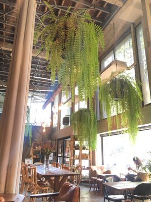 A refreshing ambience, makes you forget you’re in Bangkok.  at Broccoli Revolution - Sukhumvit Rd in Bangkok
