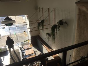 interior at Zatar Falafel & Hummus in Vilnius