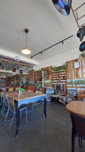 Cool decor at The Alkaline Cafe in Albany