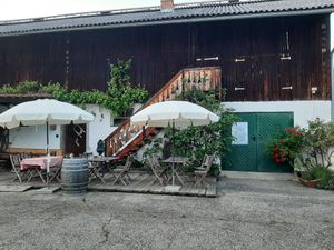  at Bioweingut Otto Knaus in Sulztal