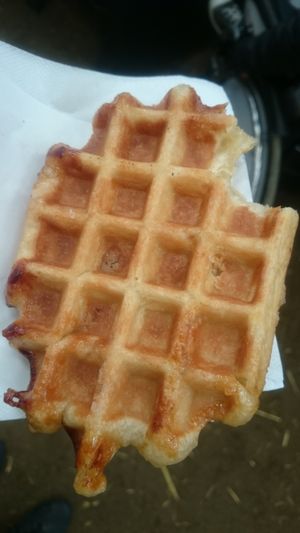 Le Noël des Animaux au Rêve d'Aby at WafflesVeg in Paris