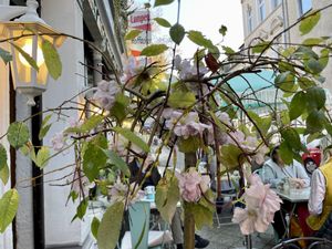 outside at Liesgen in Krefeld