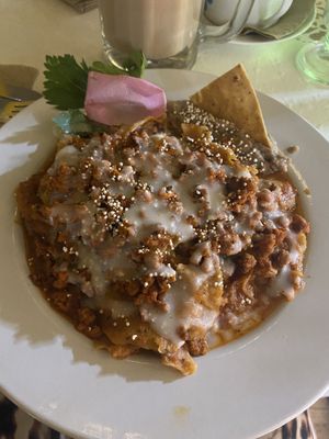 Chilaquiles con chorizo de soya   at Mi Dulce Jacalito in Mexico City