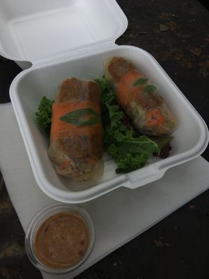 delicious tempeh spring rolls with peanut sauce  at Mama Toucan's Organic and Natural Food Store in Dominical