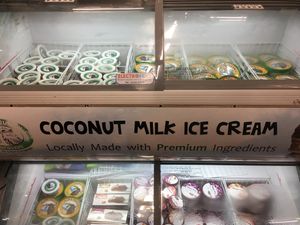 vegan ice cream!!!!! at Mama Toucan's Organic and Natural Food Store in Dominical
