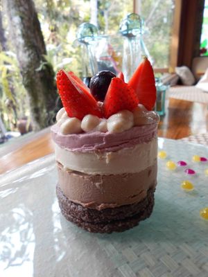 Raspberry Chocolate Truffle at Fresh in Ubud