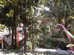 View into the garden at Fresh in Ubud