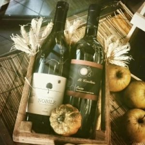 vini at La Mensa del Conte in Pienza