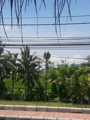 fron omajamu warung at Oma Jamu in Canggu