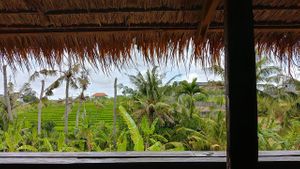 back view at Oma Jamu in Canggu