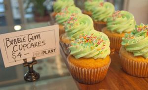 Bubble Gum Cupcake at Power Plant Cafe in Templestowe