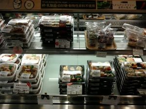 so many vegan bento boxes! at Evah Dining Macrobiotic - JR Hakata in Fukuoka