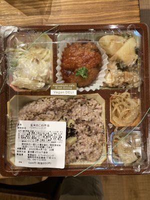 Vegan bento (delicious)  at Evah Dining Macrobiotic - JR Hakata in Fukuoka