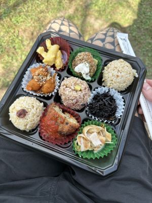 One of many different sized variety bento  at Evah Dining Macrobiotic - JR Hakata in Fukuoka